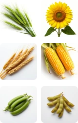 Agrogator crop visual set